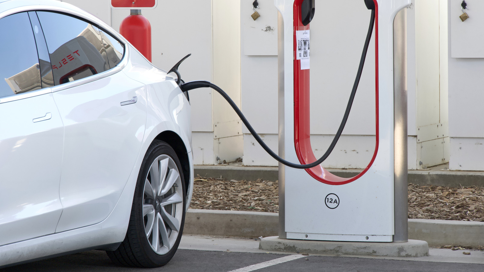 Bharat Journal The Reason Why EV Tires Wear Out So Much Faster Than Tires On Gas Cars