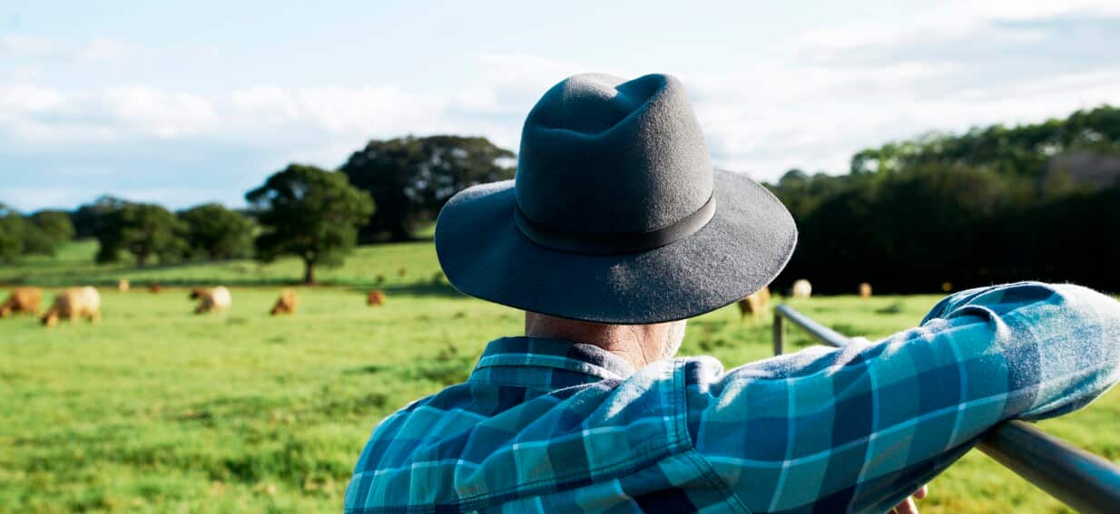 Bharat Journal The groceries that could rise 20 per cent in worth, as farmers issue warning