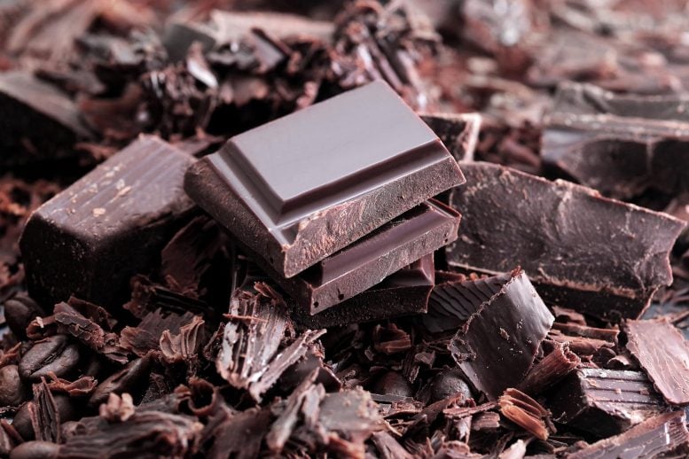 Bharat Journal Amazonian Chocolate Could Become the Next Superfood, Scientists Say