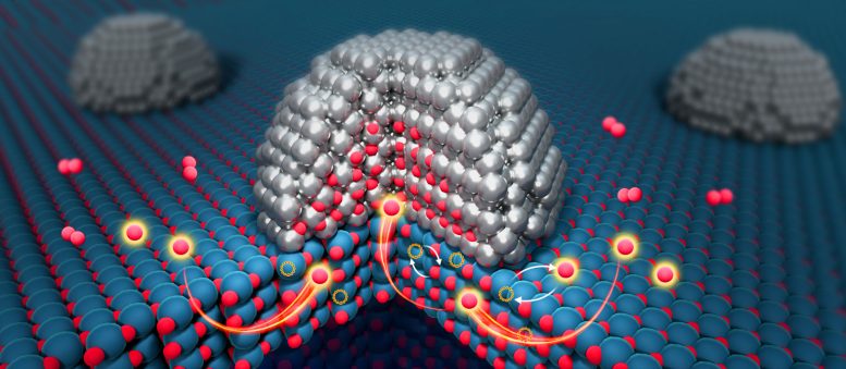 Bharat Journal Scientists Discover Hidden Pathway Inside Catalysts That Defies Decades of Assumptions