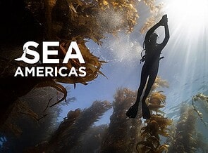 Bharat Journal All-Female Dive Team Launches ‘Sea Americas’ Expedition Documentary