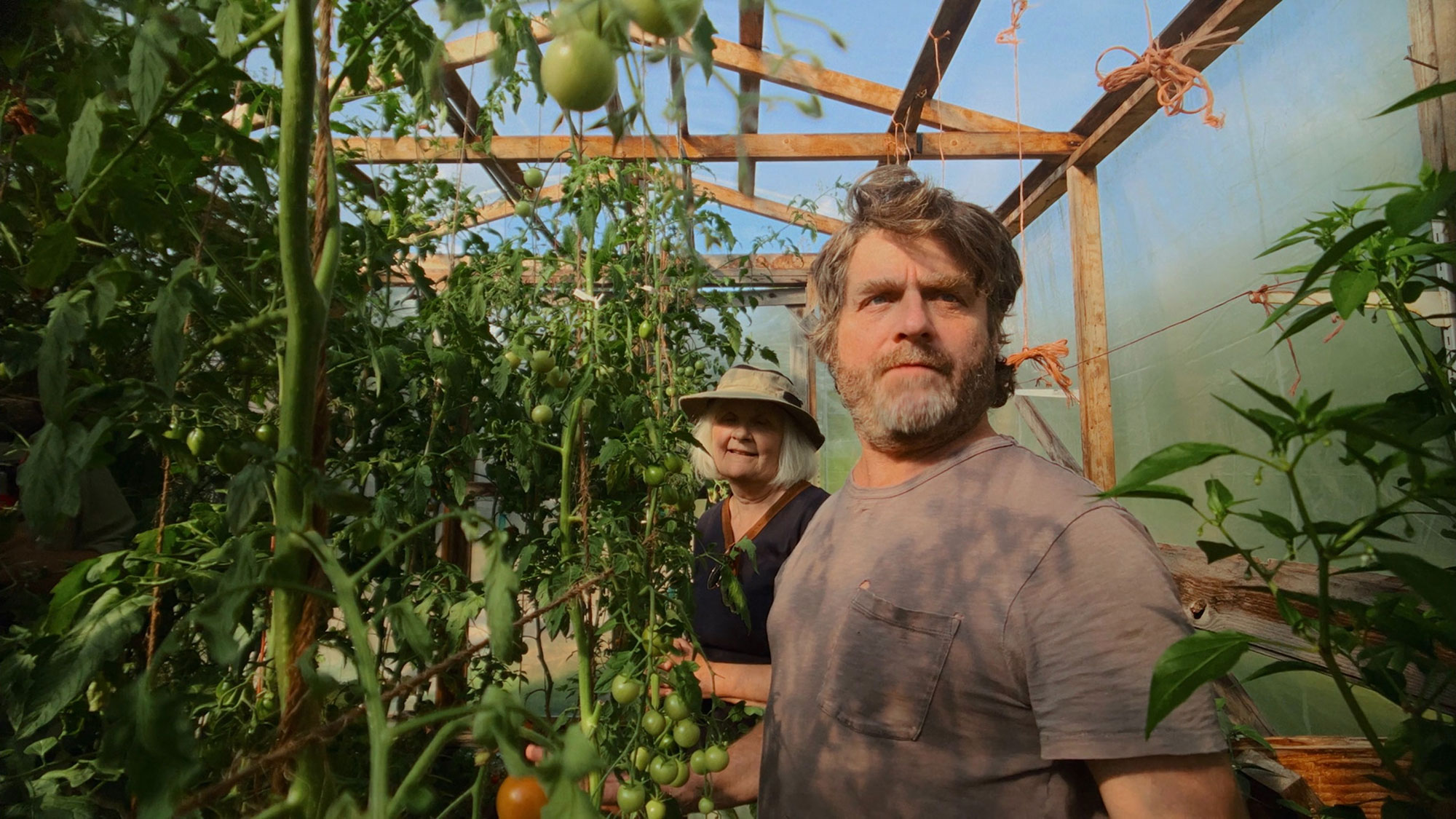 Bharat Journal While Zach Galifianakis finds peace in gardening, I’m at war with raccoons