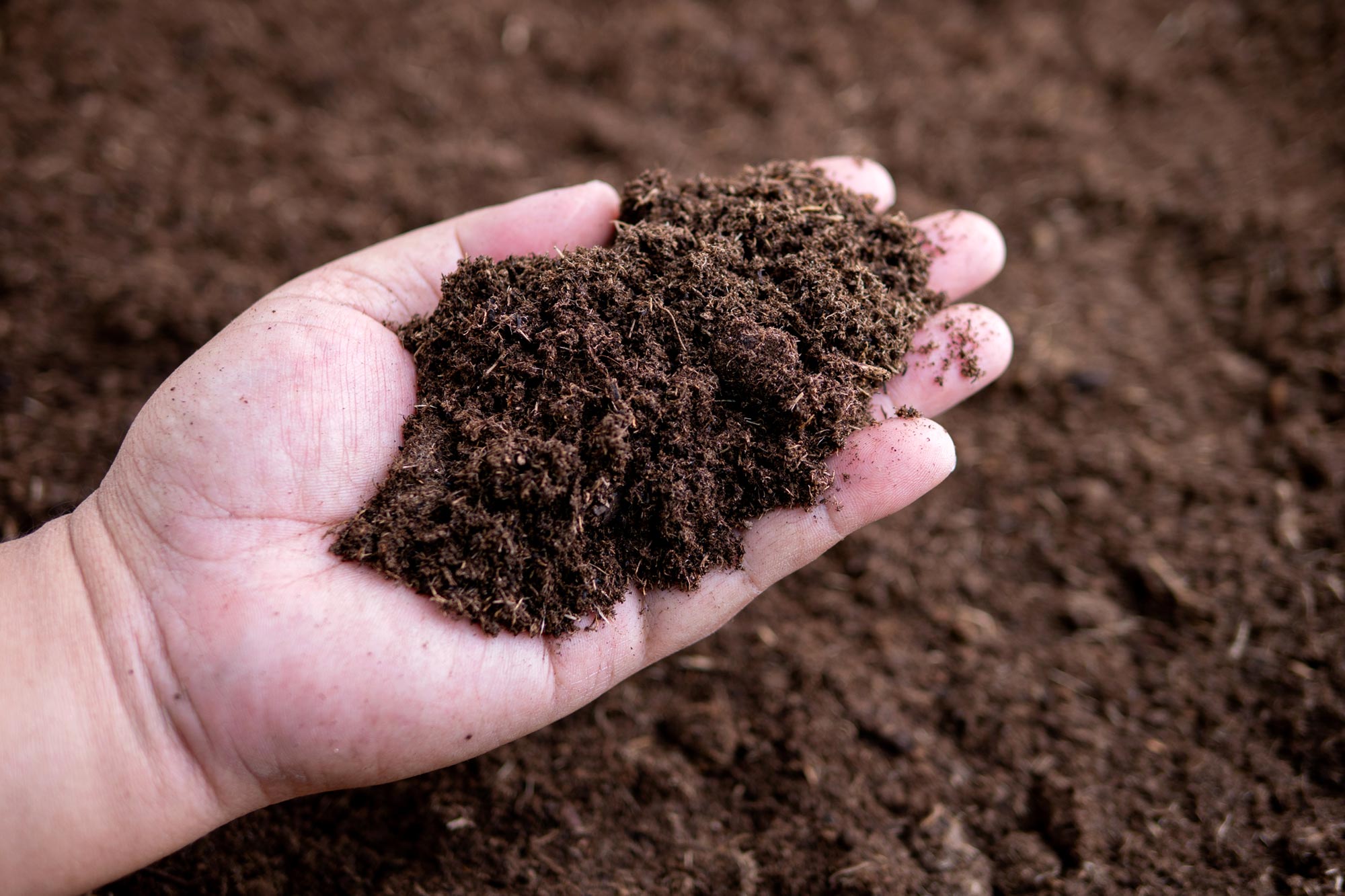 Bharat Journal After 37 Years, the World’s Longest-Running Soil Warming Experiment Uncovers a Startling Climate Secret