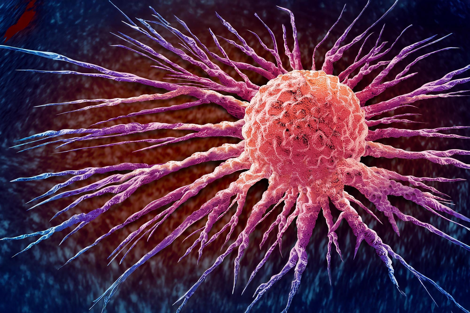 Bharat Journal Scientists Turn Cancer’s Own Bacteria Against It in Breakthrough Therapy