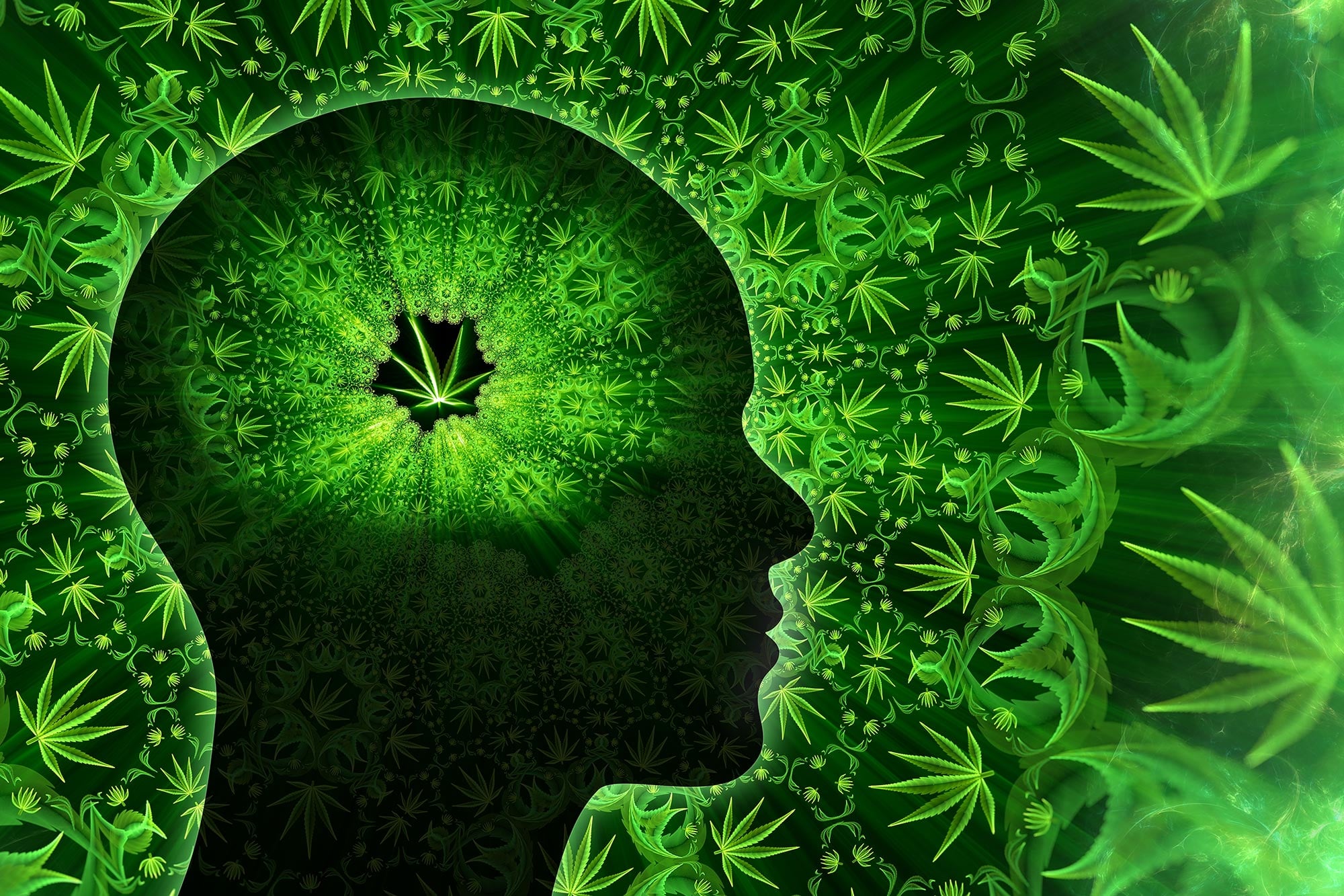 Bharat Journal Cannabis Can Make You Remember Things That Never Happened
