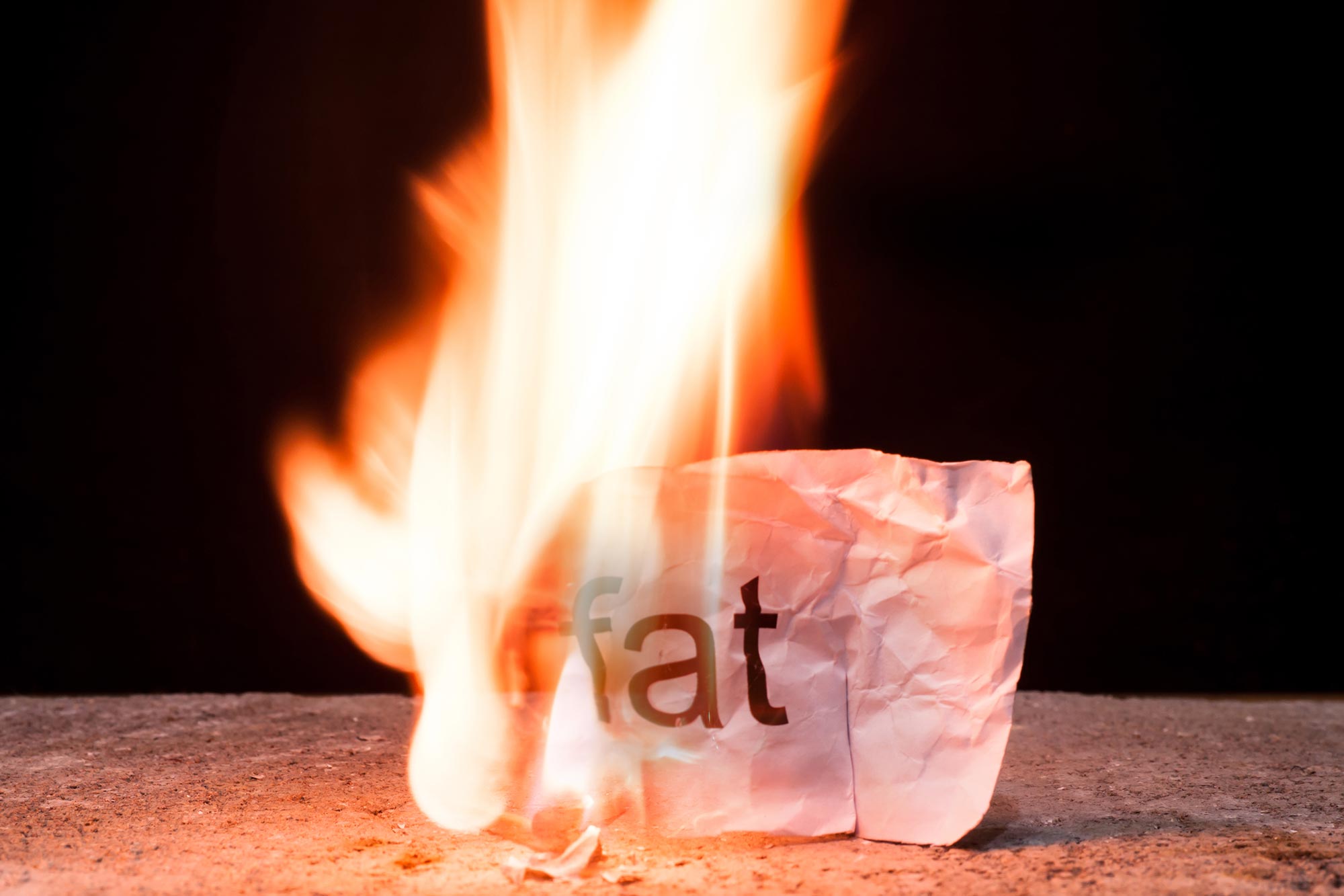 Bharat Journal Scientists Discover Hidden “Transfer” That Burns Fat and Could Treat Bone Disease
