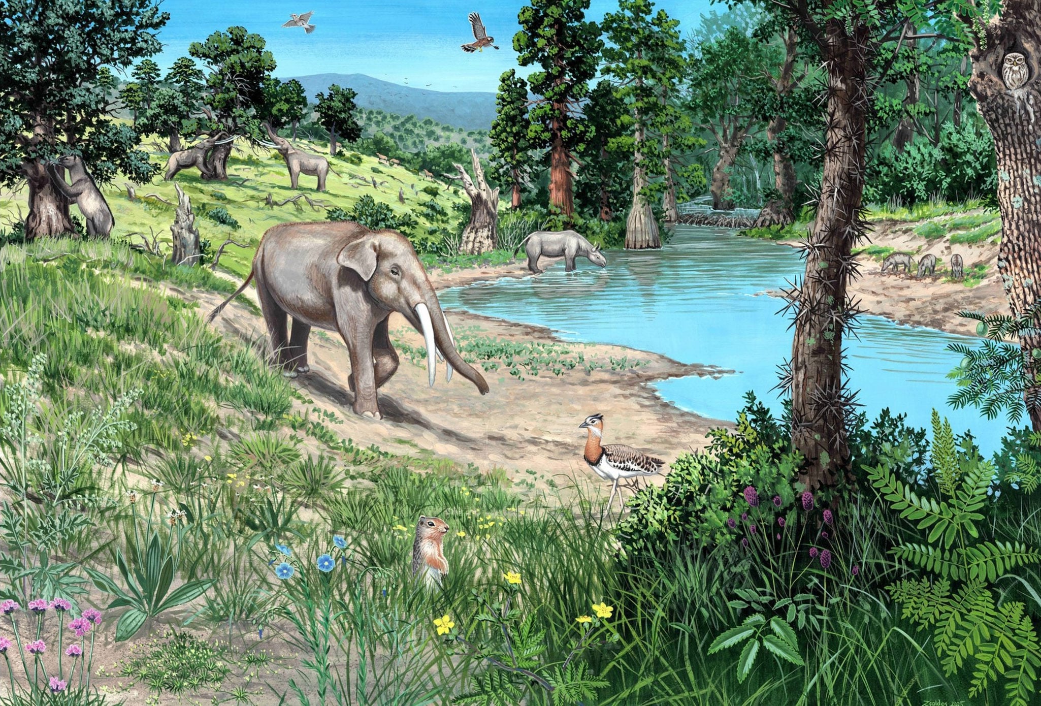 Bharat Journal Europe Was Never a Giant Dark Forest, New 20-Million-Year Study Reveals