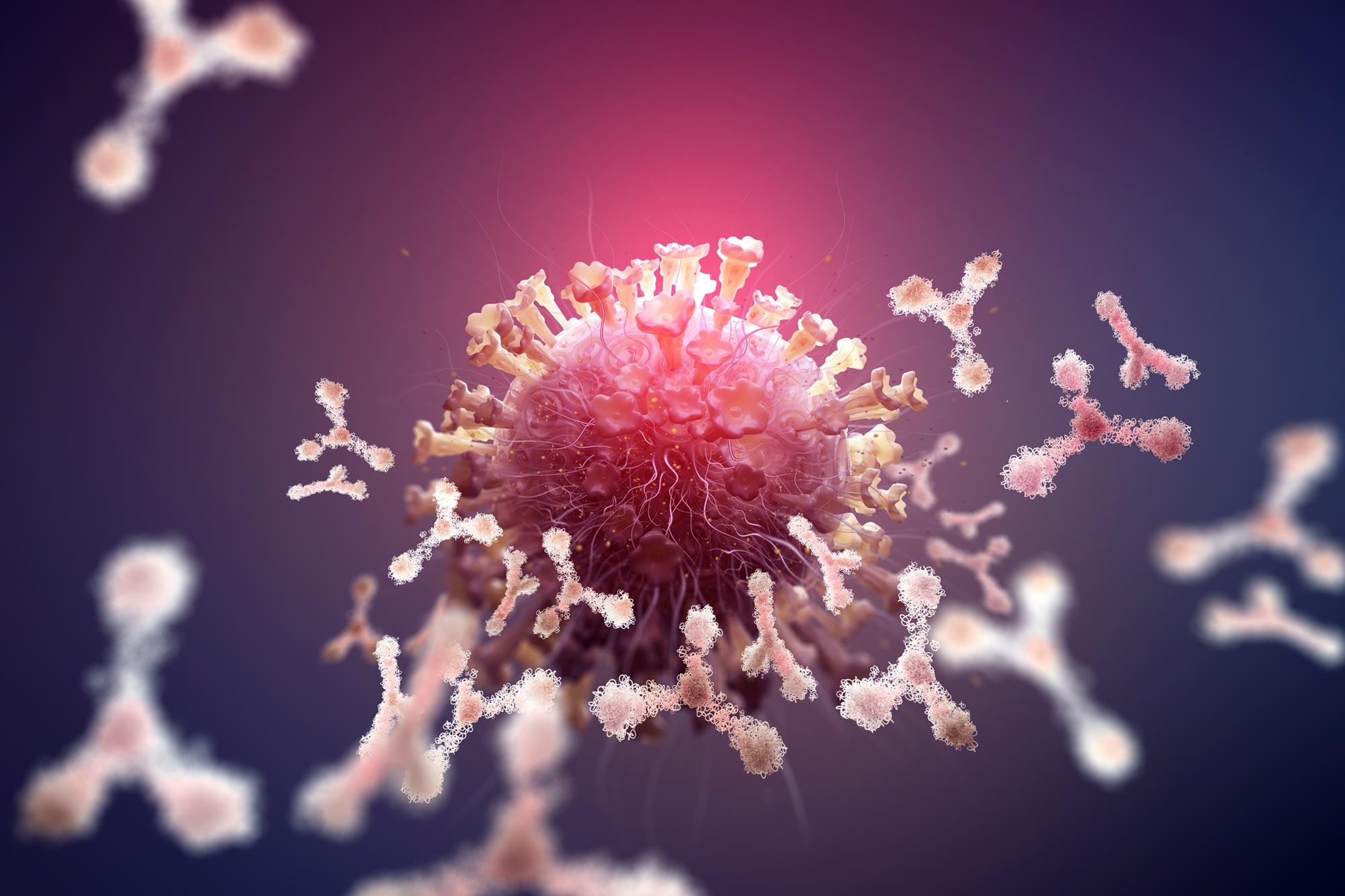 Bharat Journal Scientists Uncover Hidden Biological Differences Between Men and Women’s Immune Systems