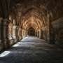 Bharat Journal Historic co-determination helps monasteries navigate digital change across three countries