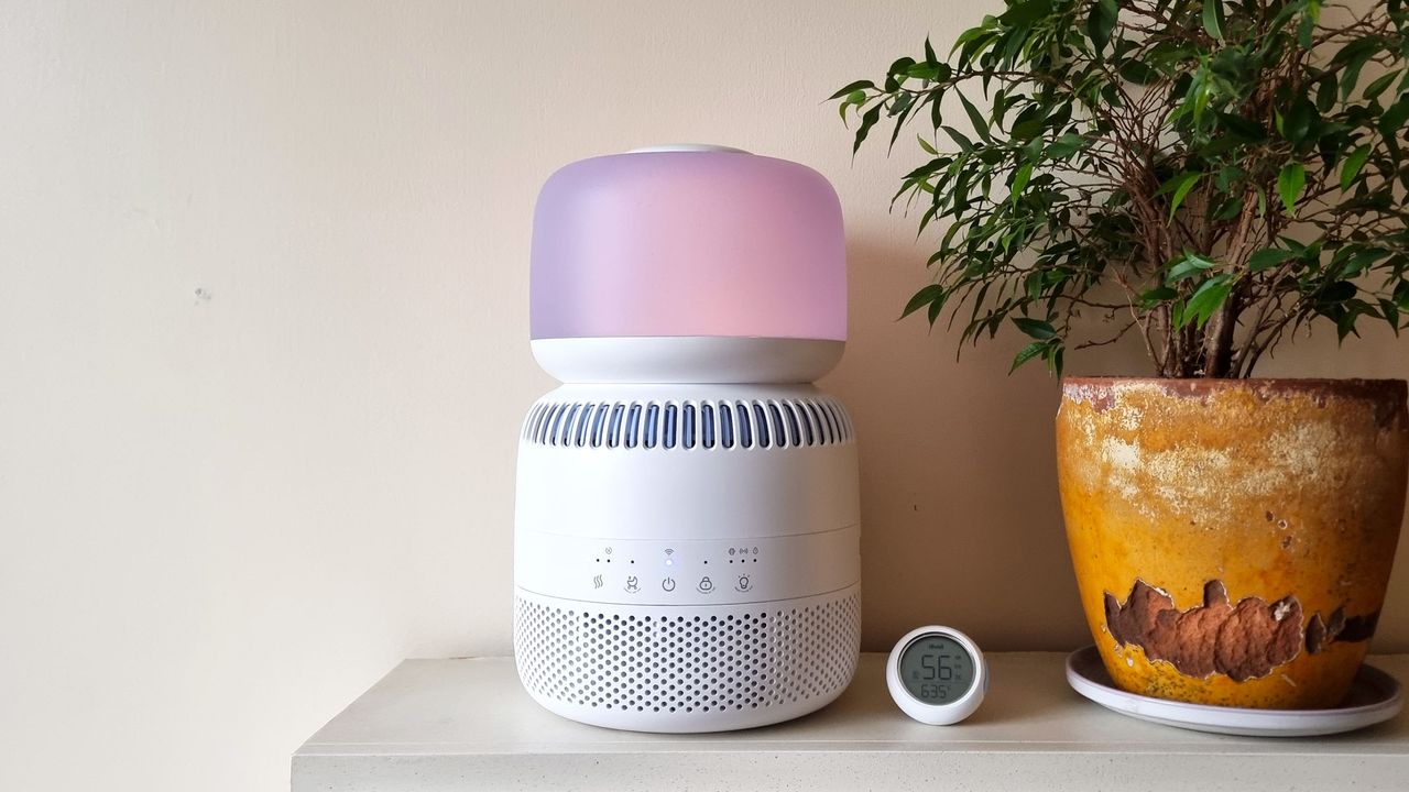 Bharat Journal Levoit Sprout Evaporative Humidifier assessment: A great addition to nurseries and little toddlers’ rooms