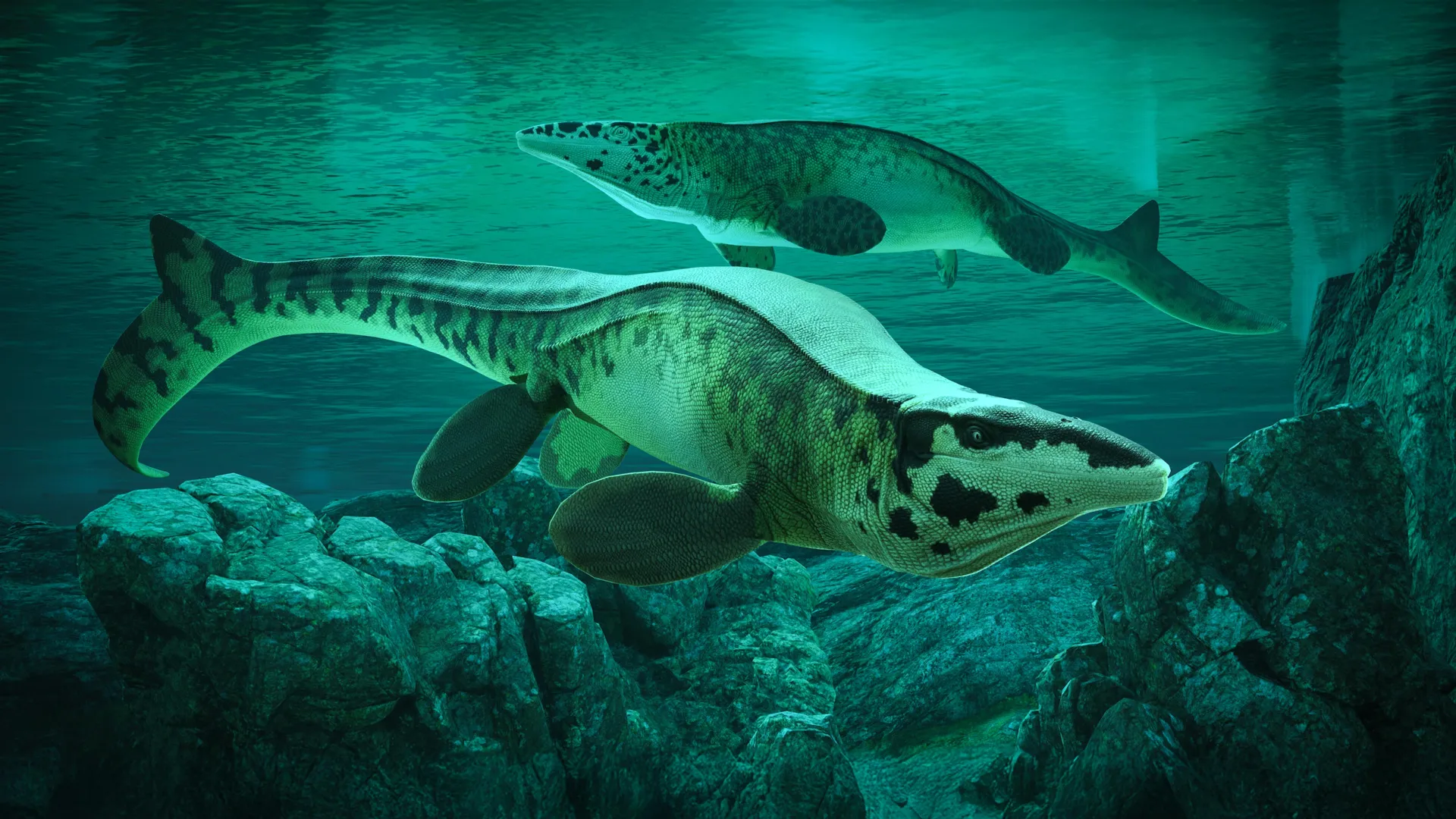 Bharat Journal Scientists discover giant sea predator Tylosaurus rex that terrorized ancient oceans