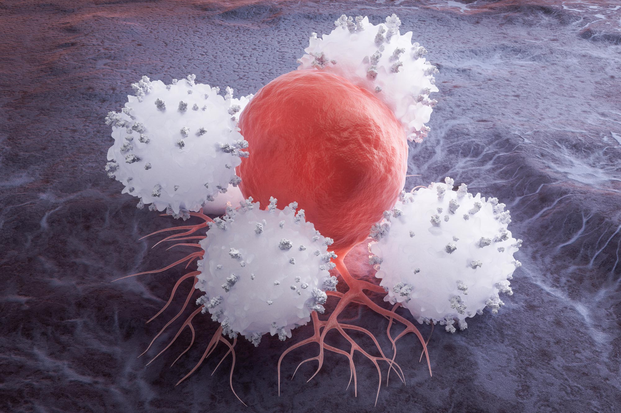 Bharat Journal Scientists Have Found a Way To Feed Immune Cells Without Fueling Cancer
