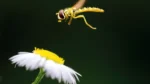Here`s your latest technology news this week